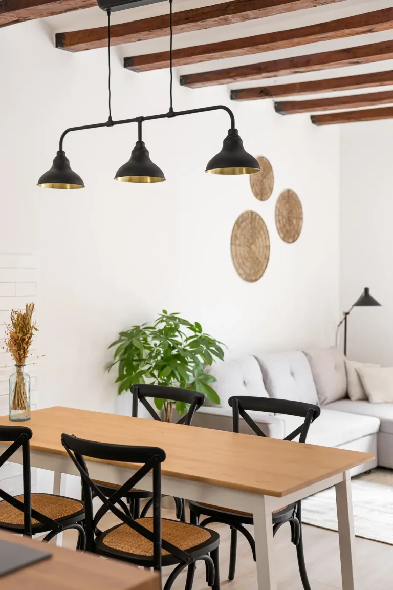 salon moderno con muebles de estilo
