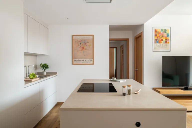 Una cocina moderna con encimeras de piedra cuadros en la pared y una planta verde sobre la encimera