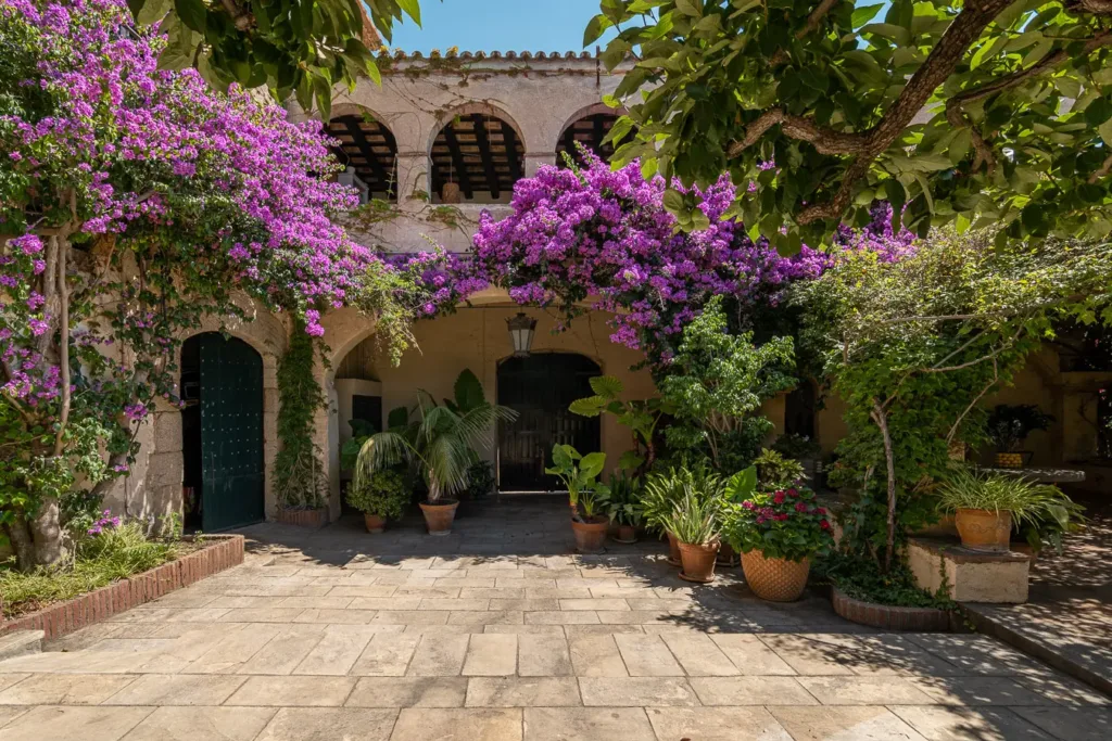 fachada de una casa con flores moradas y vegetación alrededor