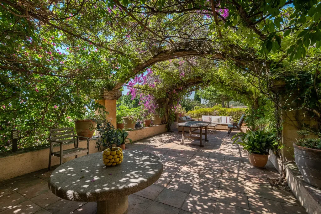 terraza con vegetación exuberante y flores moradas bajo un cielo azul