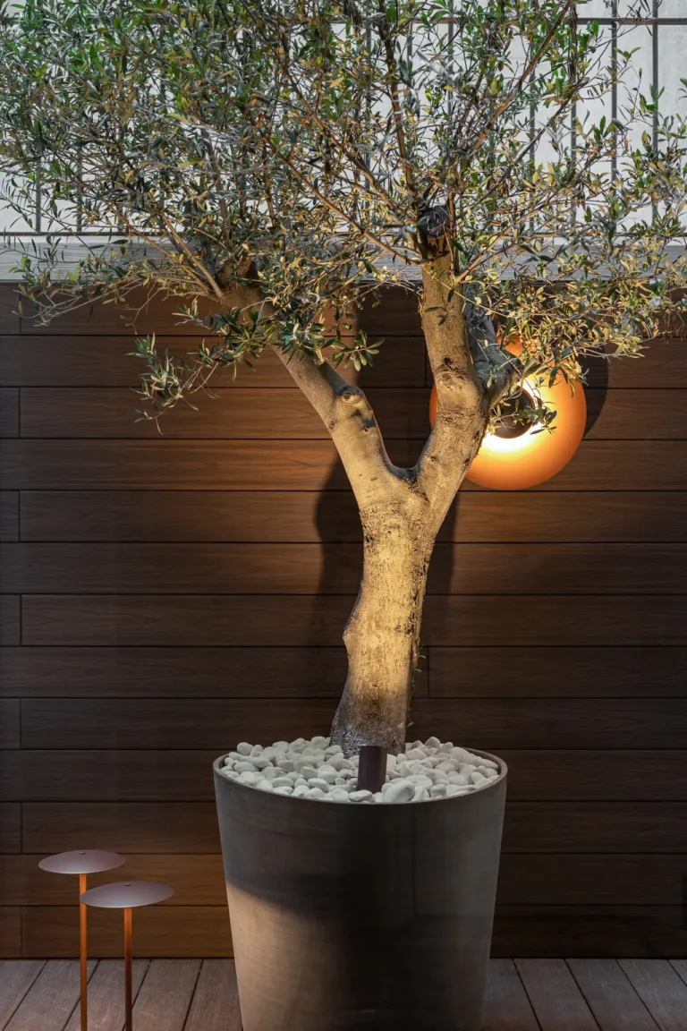 diseño elegante de techo con luces cálidas