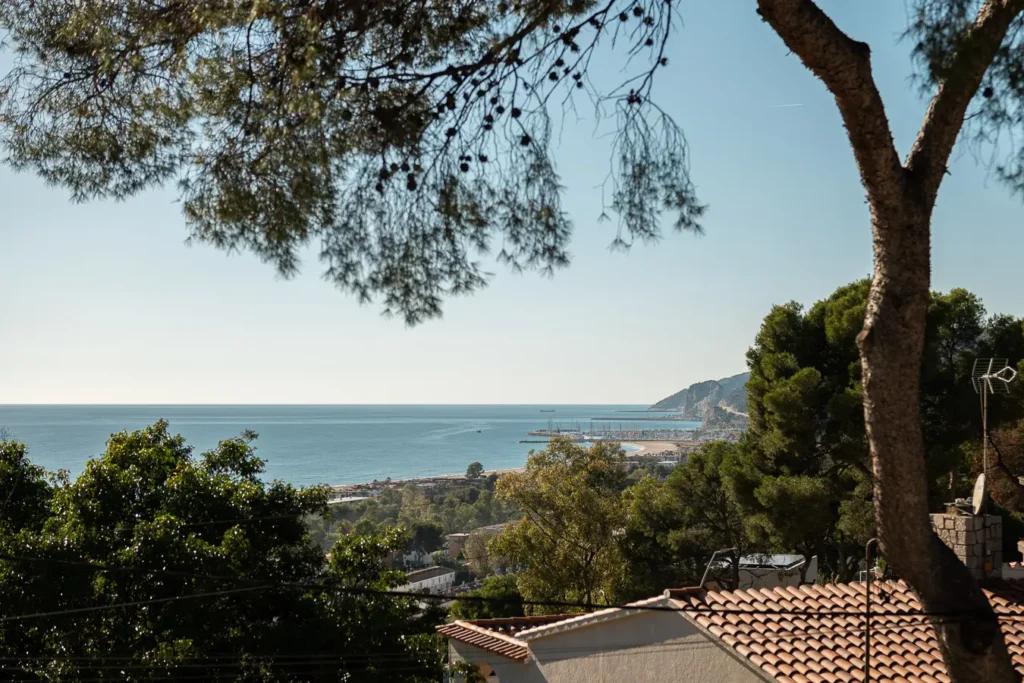 vista panoramica del mar y la costa desde una casa elevada entre arboles