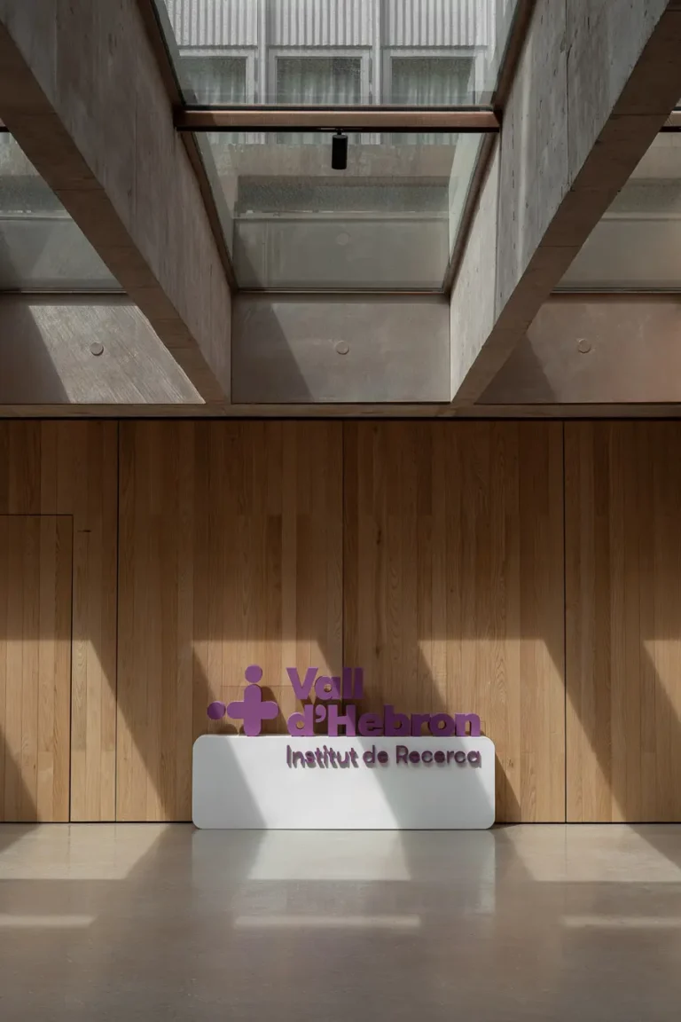 lucernarios techo hormigon luz natural pared madera
