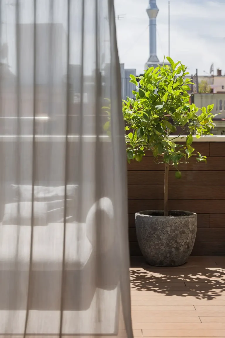 terraza maceta limonero cortina translucida