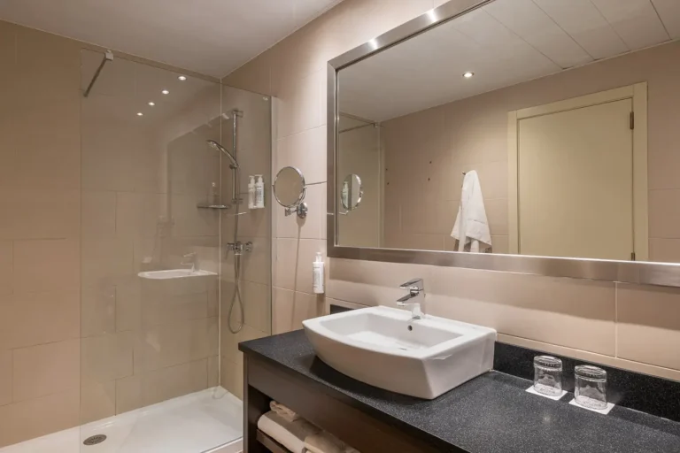 bano de hotel con ducha lavabo y espejo amplio