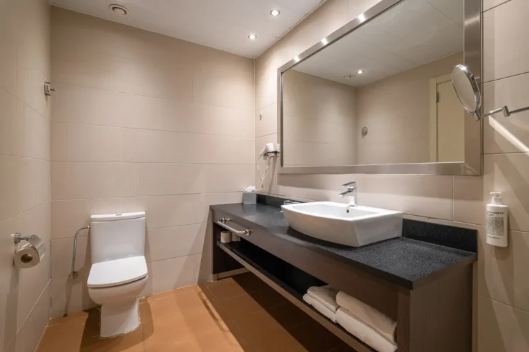 bano de hotel con lavabo espejo y ducha